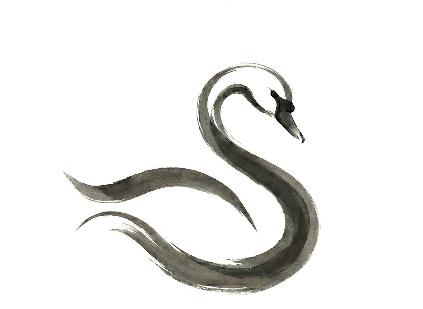 Swan Esthetics